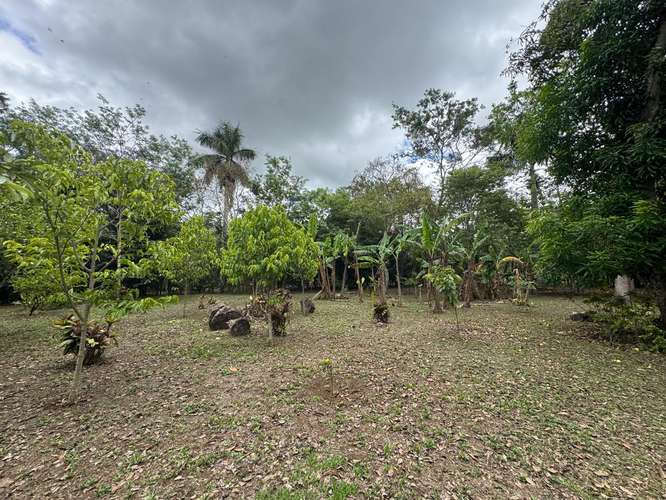 Venta de Terreno en Jinotepe  - Imagen 5