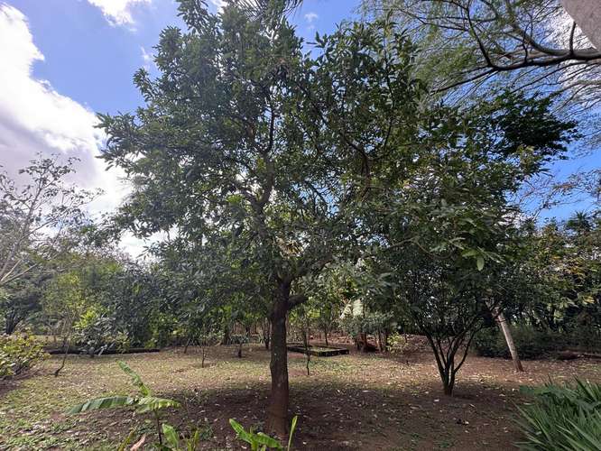Venta de Terreno en Jinotepe  - Imagen 17