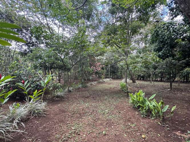 Venta de Terreno en Jinotepe  - Imagen 8