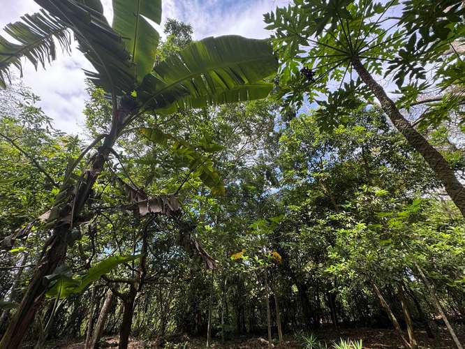Venta de Terreno en Jinotepe  - Imagen 18