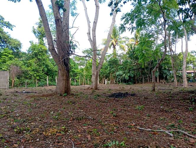 Venta de Terreno en Jinotepe, Carazo  - Imagen 9