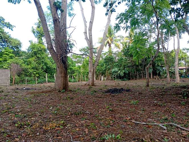 Venta de Terreno en Jinotepe  - Imagen 8