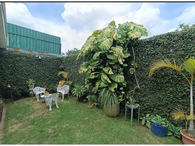  Espectacular casa Amueblada  en Veracruz $1500  - Imagen 18