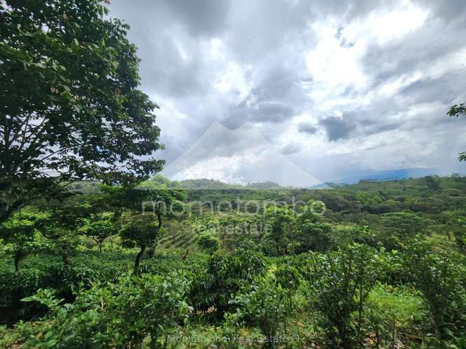 Finca en Venta , Tuma La Dalia - Imagen 8