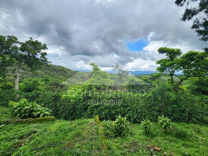 Finca en Venta , Tuma La Dalia - Imagen 6
