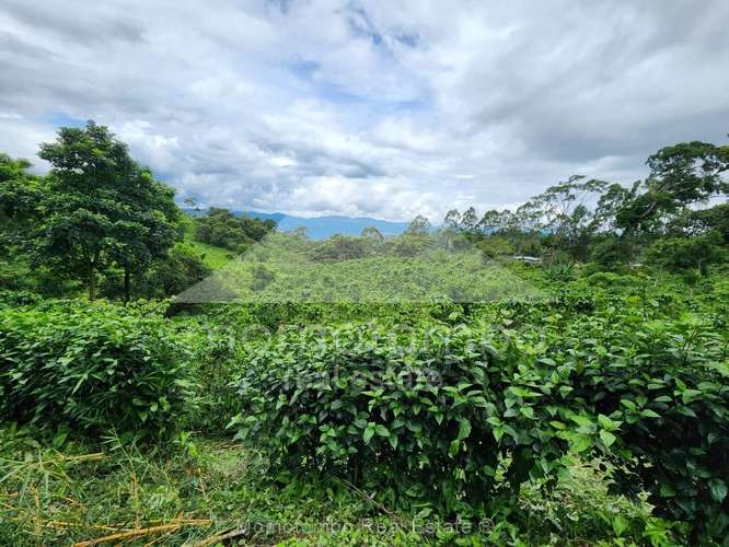 Finca en Venta , Tuma La Dalia - Imagen 7