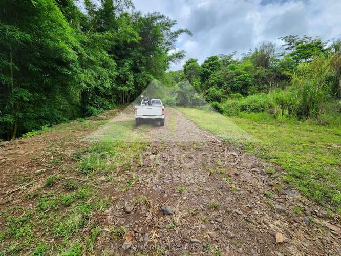 Finca en Venta , Tuma La Dalia - Imagen 2