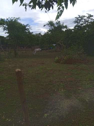 Venta de Terreno en Granada  - Imagen 16