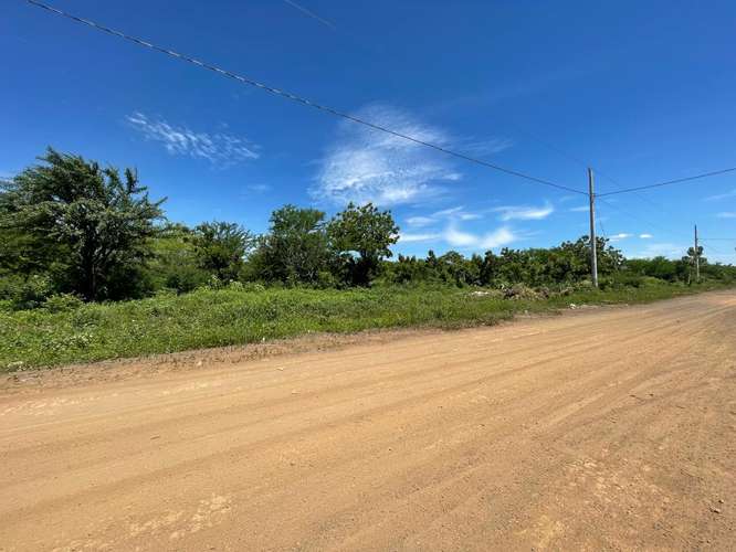 Venta de 23 manzanas de Terreno en Carretera Nueva a Leon  - Imagen 5