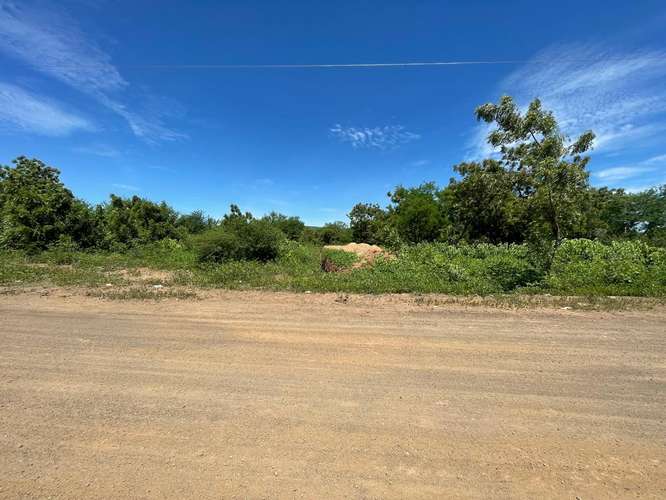 Venta de 23 manzanas de Terreno en Carretera Nueva a Leon  - Imagen 3