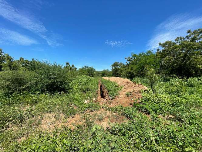 Venta de 23 manzanas de Terreno en Carretera Nueva a Leon  - Imagen 7
