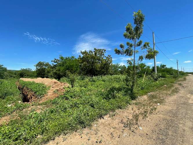 Venta de 23 manzanas de Terreno en Carretera Nueva a Leon  - Imagen 11