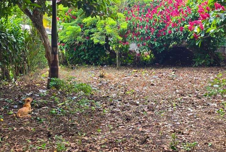 FH | Terreno en Venta | Km 39 Carretera Sur - Diriamba  - Imagen 4