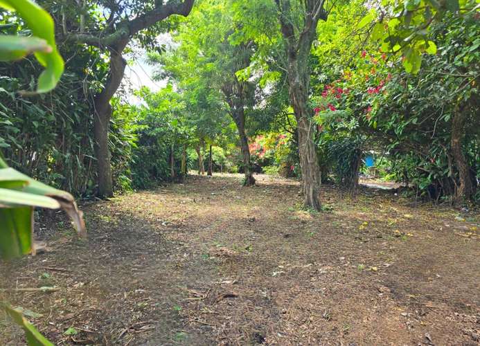 FH | Terreno en Venta | Km 39 Carretera Sur - Diriamba  - Imagen 7