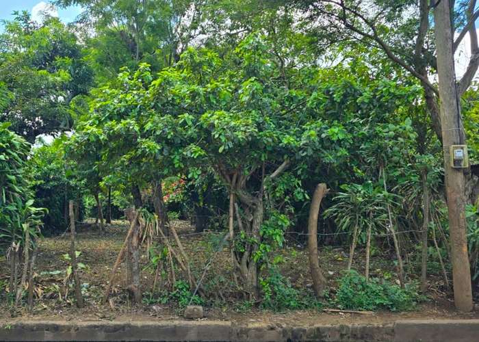 FH | Terreno en Venta | Km 39 Carretera Sur - Diriamba 