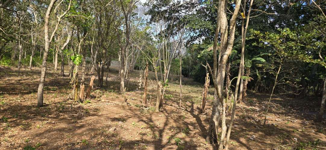 Venta de Terreno en Jinotepe, Carazo  - Imagen 7