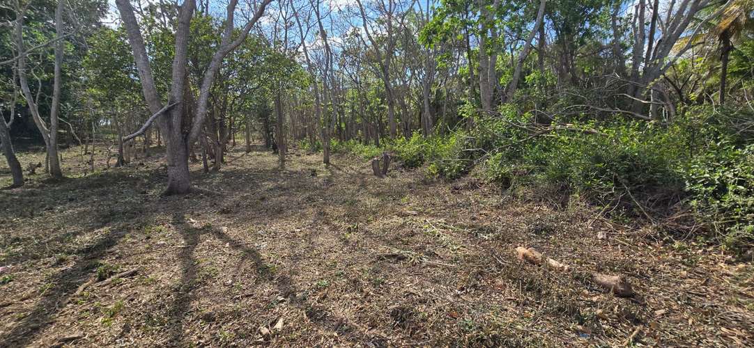 Venta de Terreno en Jinotepe, Carazo  - Imagen 9