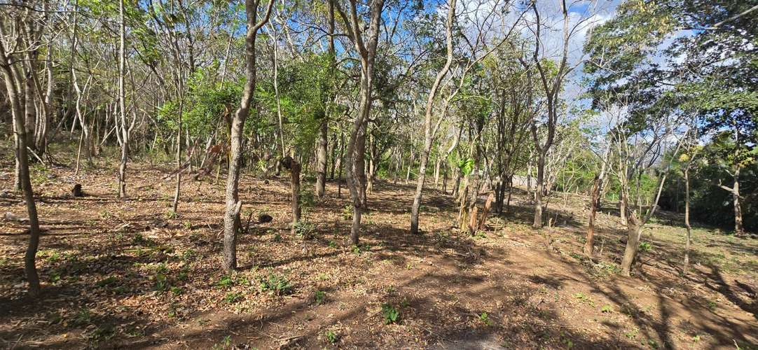 Venta de Terreno en Jinotepe, Carazo  - Imagen 11