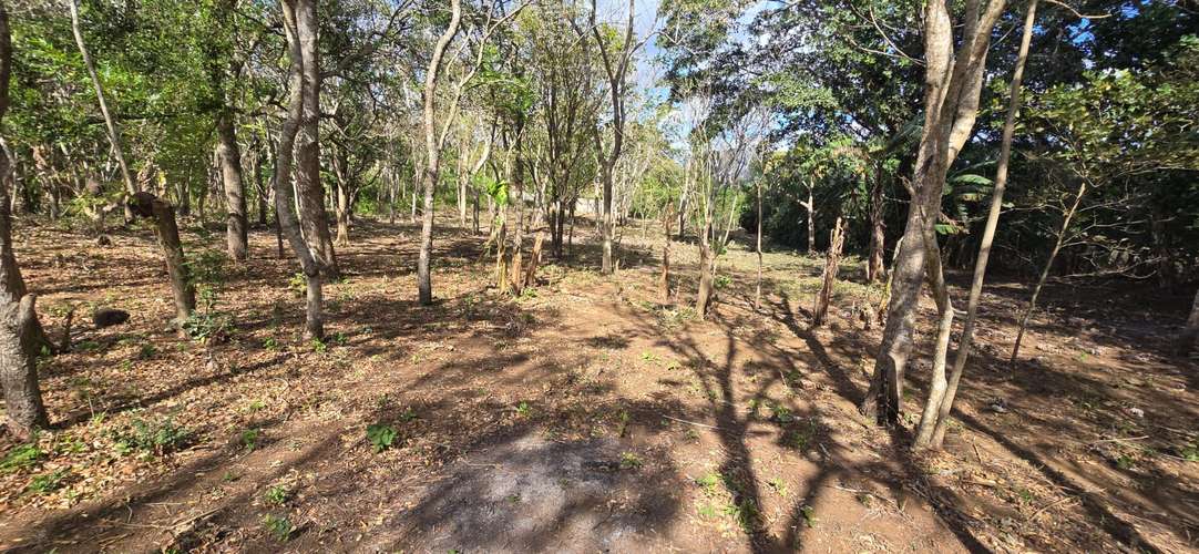Venta de Terreno en Jinotepe, Carazo  - Imagen 10