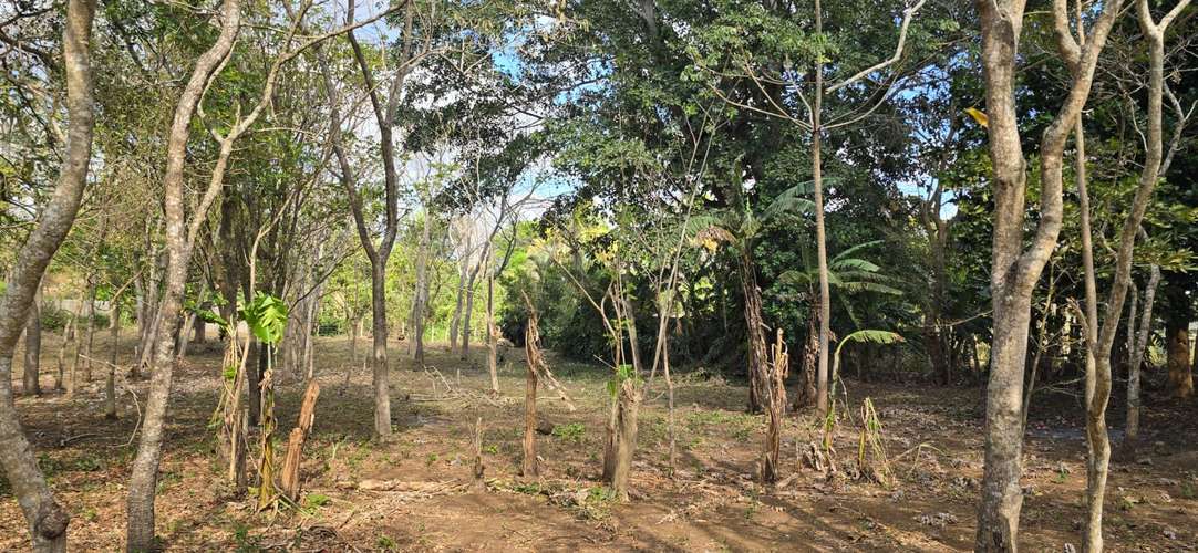 Venta de Terreno en Jinotepe, Carazo  - Imagen 19