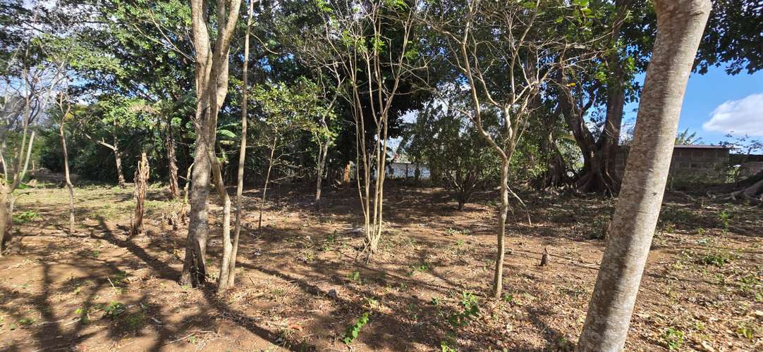 Venta de Terreno en Jinotepe, Carazo  - Imagen 12