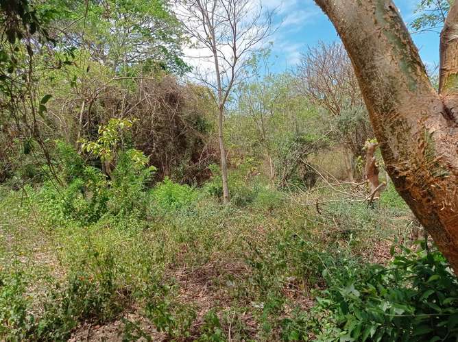 Venta de Terreno en San Isidro de la Cruz Verde  - Imagen 16