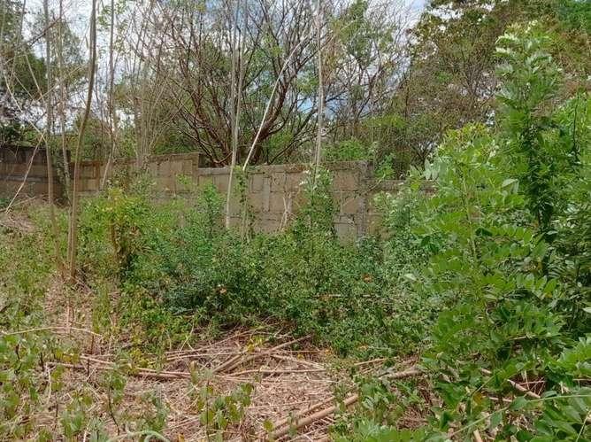 Venta de Terreno en San Isidro de la Cruz Verde  - Imagen 1
