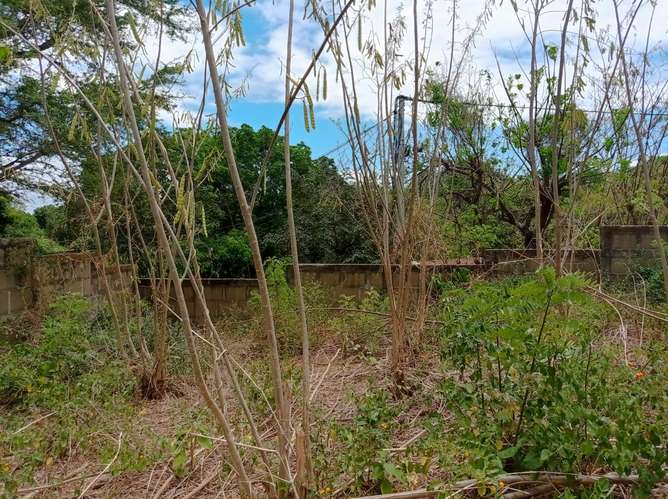 Venta de Terreno en San Isidro de la Cruz Verde  - Imagen 5