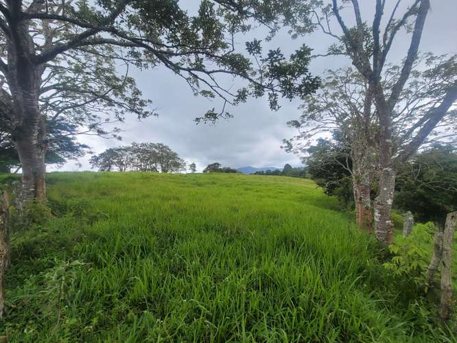 Venta de Finca en Nicaragua 