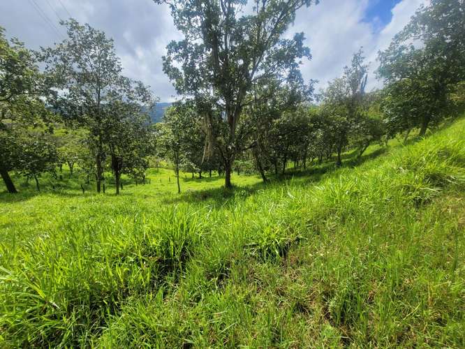 Venta de Finca en Nicaragua 