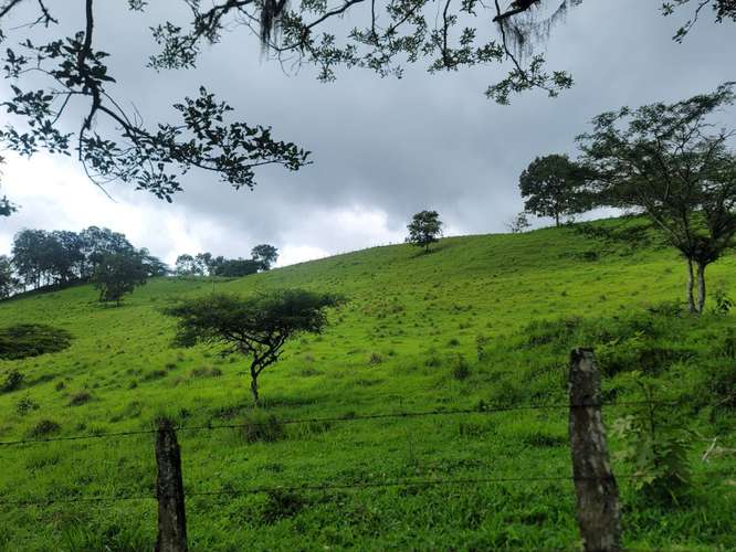 Venta de Finca en Nicaragua 