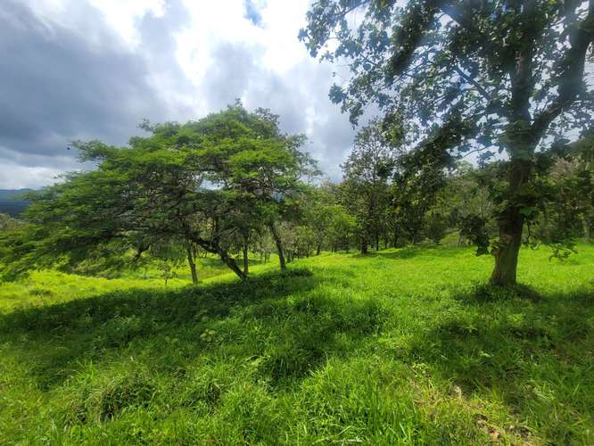 Venta de Finca en Nicaragua 