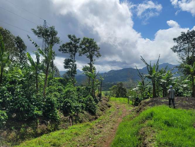 Venta de Finca en Nicaragua 