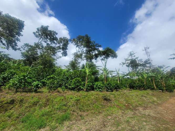 Venta de Finca en Nicaragua 