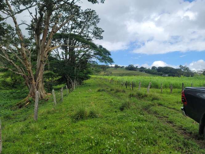 Venta de Finca en Nicaragua 