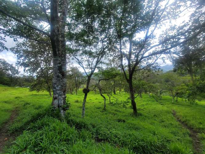 Venta de Finca en Nicaragua 