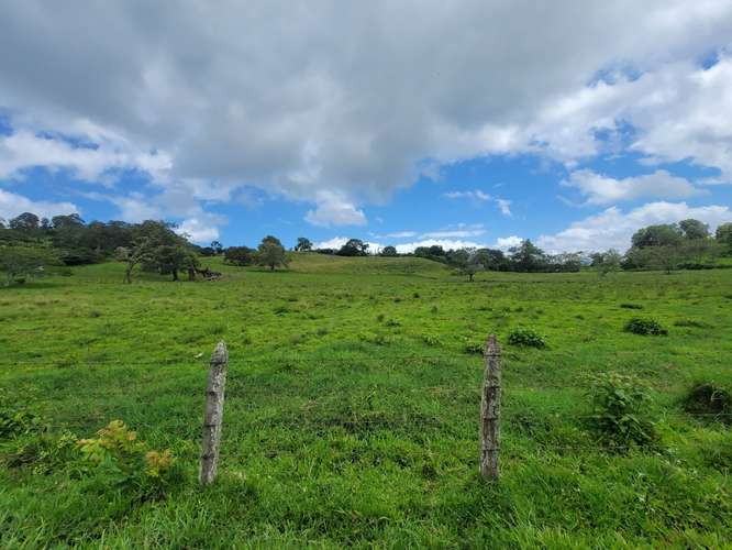 Venta de Finca en Nicaragua 