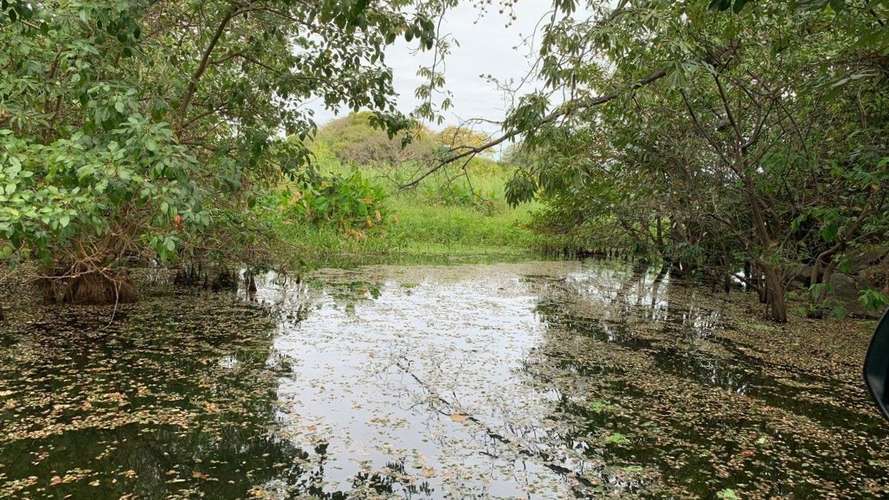 Venta de Finca en Comarca Asese Granada 