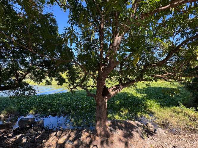 Venta de Finca en Comarca Asese Granada 