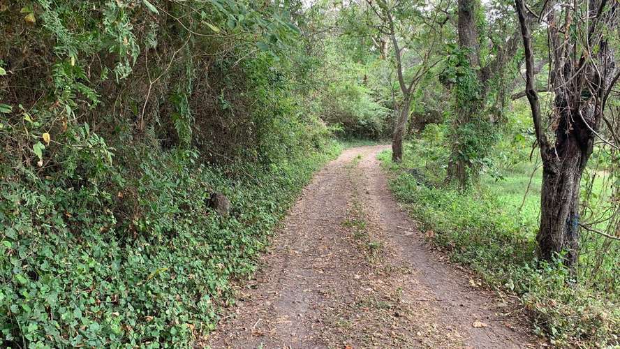 Venta de Finca en Comarca Asese Granada 