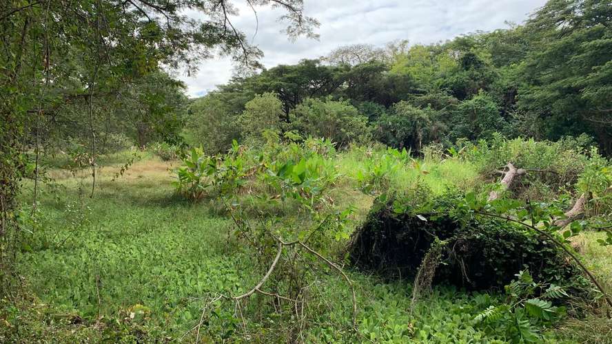 Venta de Finca en Comarca Asese Granada 