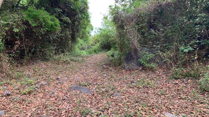 Venta de Finca en Comarca Asese Granada 