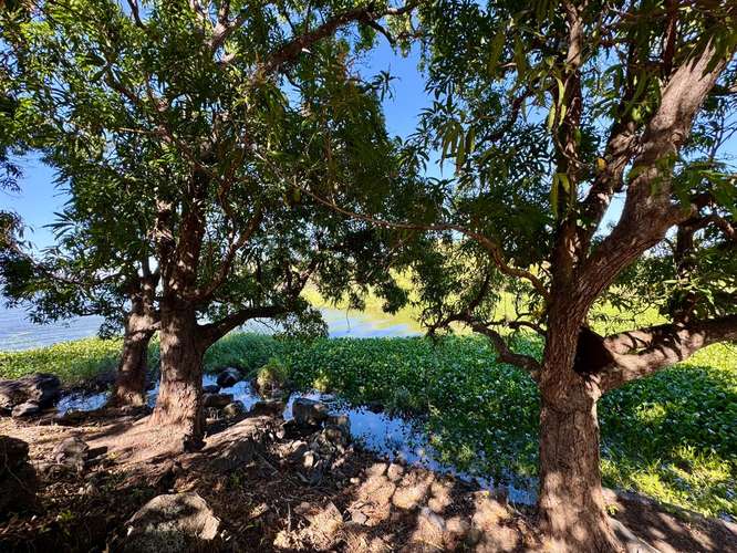 Venta de Finca en Comarca Asese Granada 