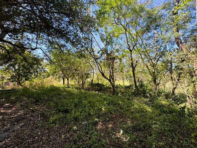 Venta de Terreno en Comarca Jocote Dulce, Managua  - Imagen 2