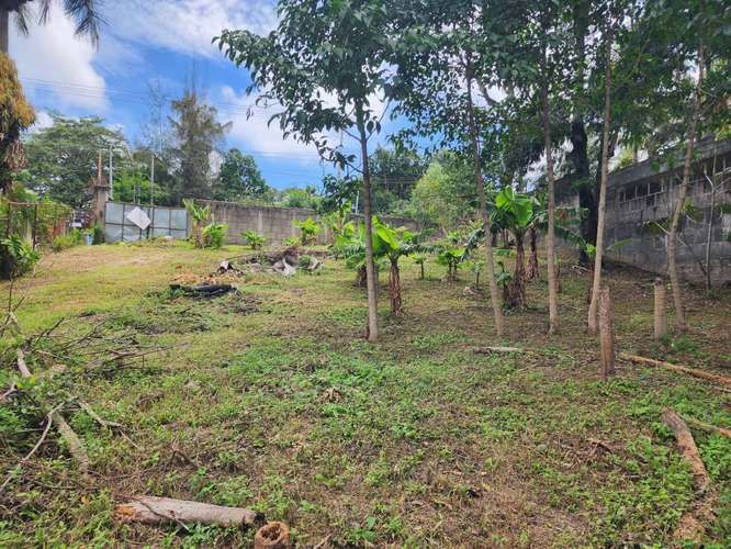  ¡TERRENO EN VENTA EN MONTEFRESCO, CARRETERA SUR! - Imagen 5