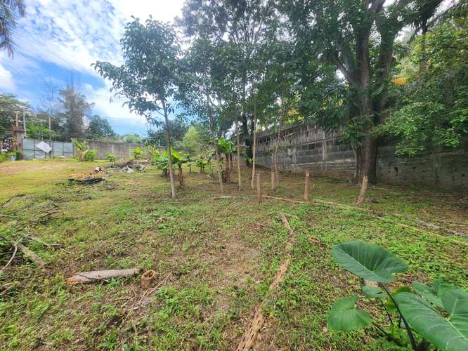  ¡TERRENO EN VENTA EN MONTEFRESCO, CARRETERA SUR! - Imagen 4