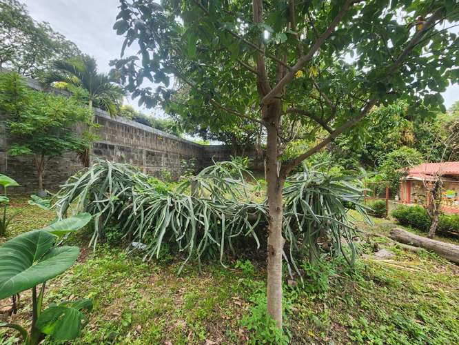  ¡TERRENO EN VENTA EN MONTEFRESCO, CARRETERA SUR! - Imagen 6
