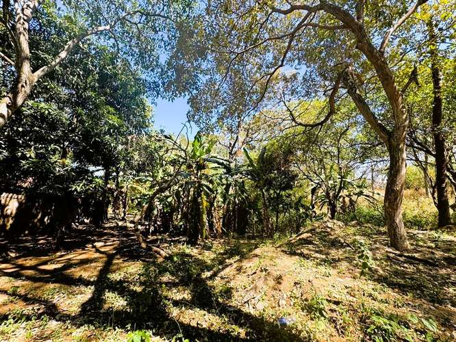 Venta de Terreno en Jocote Dulce  - Imagen 5