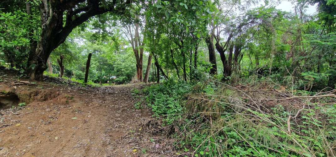 Venta de Terreno en Jocote Dulce  - Imagen 12
