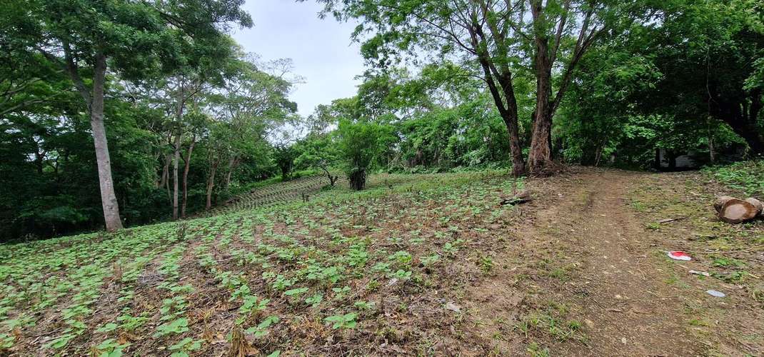 Venta de Terreno en Jocote Dulce  - Imagen 11